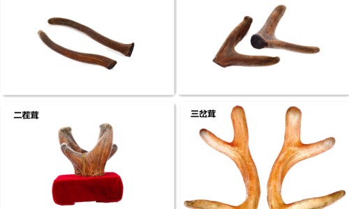 过期食物不舍得扔吗-过期食物不舍得扔网 - 网站提供过期食物不舍得扔怎么办小常识、不乱丢过期食物