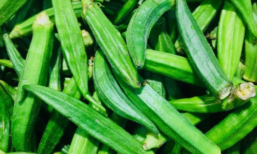 过期食物不舍得扔网 - 网站提供过期食物不舍得扔怎么办小常识、不乱丢过期食物